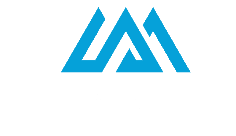 Pinnacle Mutual Consulting LLC